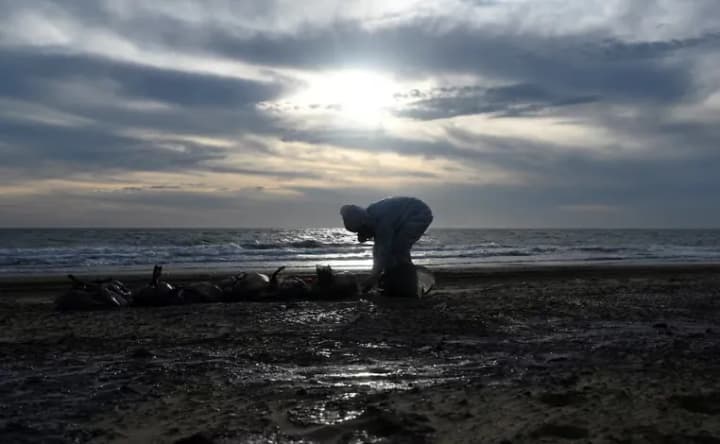 razliv-mazuta-v-chernom-more-v-krasnodarskom-krae-obyavlena-chrezvichainaya-situatsiya