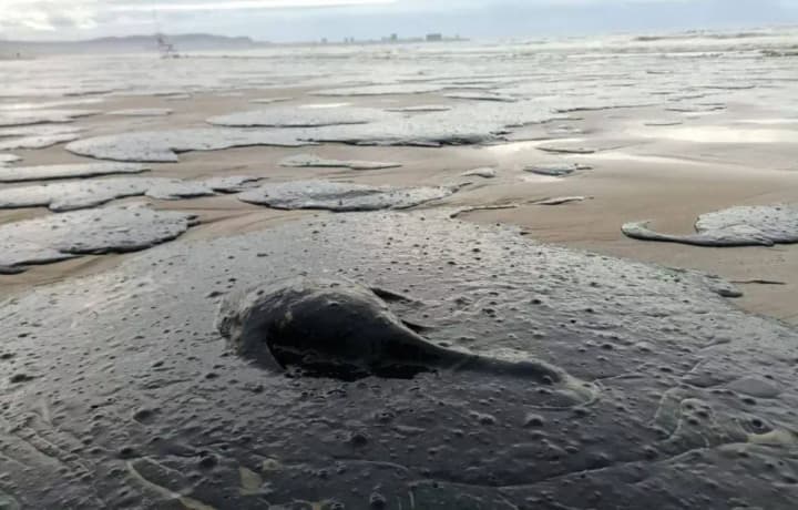 neftyanoe-pyatno-ot-zatonuvshikh-tankerov-vozle-krima-dvizhetsya-k-zapovednikam