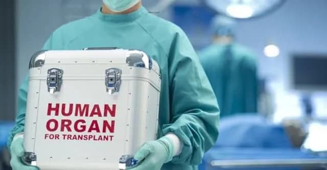 311-kidneys-93-livers-and-63-hearts-a-record-number-of-transplants-were-performed-in-ukraine
