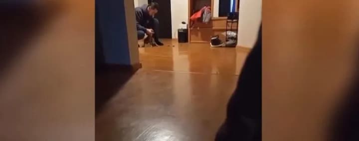 v-kieve-muzhchina-pitalsya-nakormit-fekaliyami-i-izbival-do-krovi-sobaku