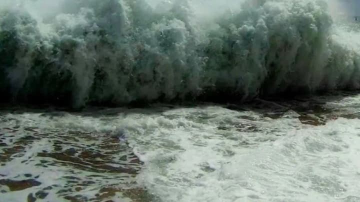 mazut-dvizhetsya-k-okkupirovannoi-yalte-poberezhe-i-ptitsi-v-opasnosti