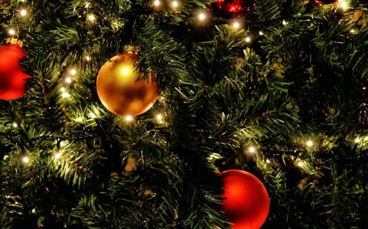 how-to-celebrate-the-new-year-safely-tips-from-the-ses