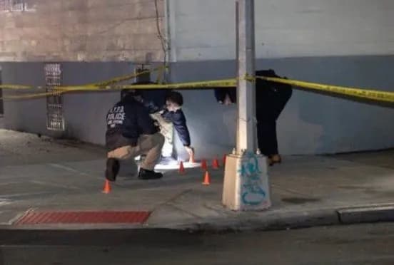 strilianyna-v-niu-iorku-z-desiatma-poranenymy-ne-bula-teraktom