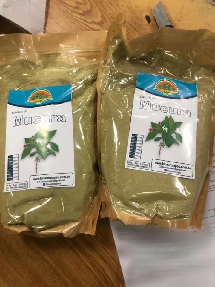 they-wanted-to-import-2-kg-of-hallucinogenic-mescaline-from-peru-to-ukraine