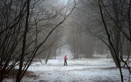 weather-for-january-7-where-in-ukraine-it-will-be-warmest-and-whether-to-expect-precipitation