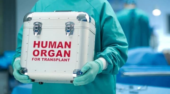 those-killed-in-the-war-cannot-be-donors-verkhovna-rada-changes-rules-of-organ-transplantation