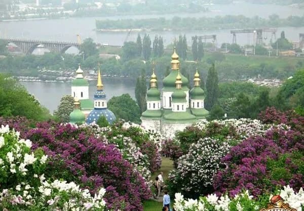 skandal-s-zastroikoi-botsada-grishko-v-kgva-prizvali-nan-nemedlenno-rastorgnut-dogovor