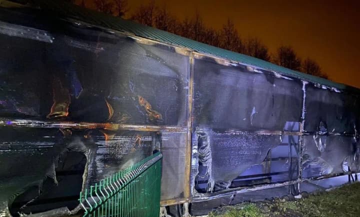 u-rosiiskii-belhorodshchyni-stalas-pozhezha-v-zooparku-zahynuly-zebry