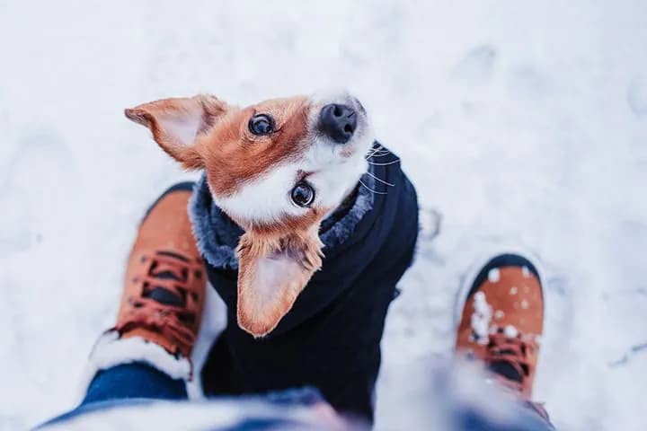 weather-in-ukraine-where-snow-and-ice-on-the-roads-are-expected-today