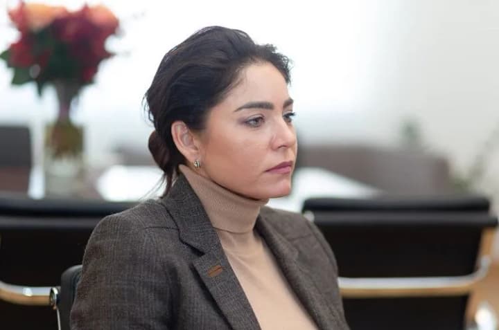 changes-to-the-procedure-for-appointing-the-head-of-the-arma-will-they-save-from-constant-scandals