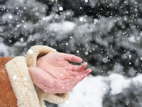 weather-in-ukraine-where-it-will-be-warmest-on-january-19-and-what-to-expect-from-winter