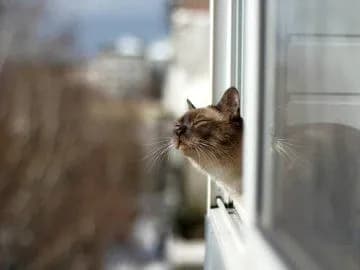 forecaster-tells-why-you-shouldnt-take-off-your-hats-despite-warming-to-6c