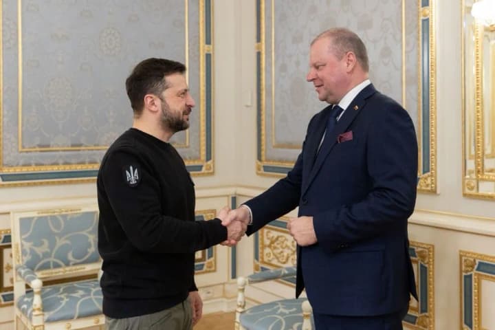 zelenskyys-meeting-with-the-lithuanian-delegation-what-did-skvernelis-promise-ukraine