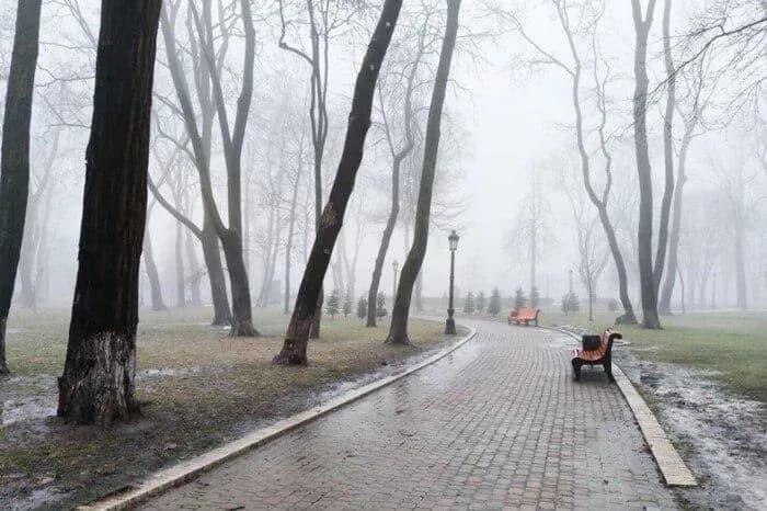 above-zero-temperature-and-fog-weather-forecast-for-today