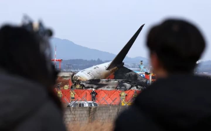 aviakatastrofa-v-yuzhnoi-koree-sledstvie-ustanovilo-pervoprichinu-tragedii