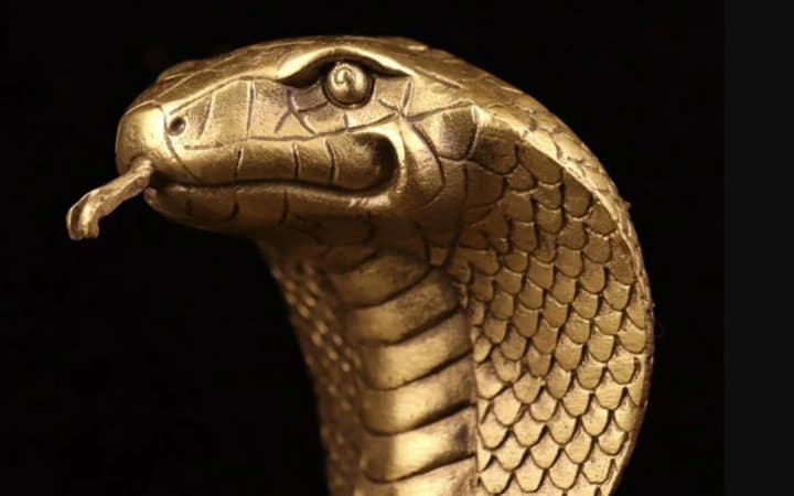 at-1436-kyiv-time-the-year-of-the-wooden-snake-will-begin-according-to-the-chinese-calendar