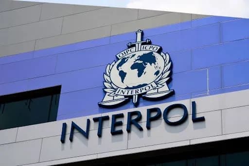 interpol-ogranichil-zaprosi-rossii-s-nachala-polnomasshtabnogo-vtorzheniya-kasap