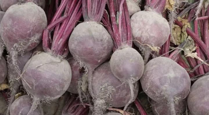 tsiny-na-buriaky-v-ukraini-zletily-na-chvert-za-tyzhden-shcho-vidbuvaietsia-na-rynku