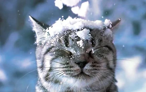 winter-is-coming-back-weather-forecasters-have-given-a-forecast-for-the-first-day-of-february