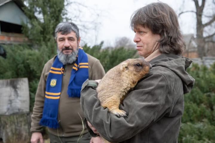 groundhog-tymko-iii-gave-a-weather-forecast-for-spring