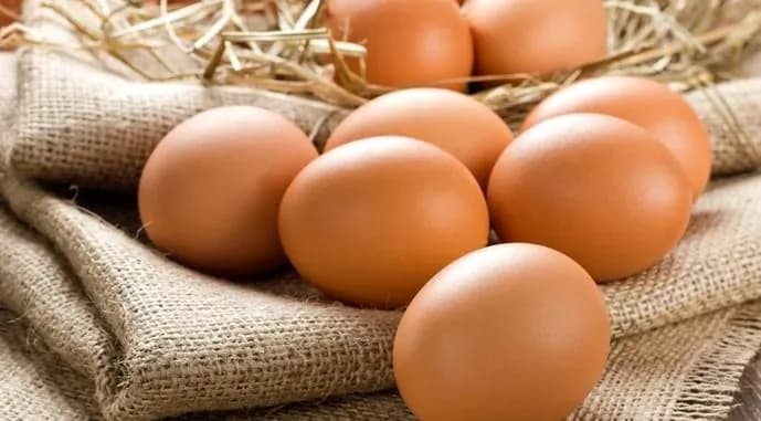 egg-prices-in-the-us-break-records-due-to-bird-flu