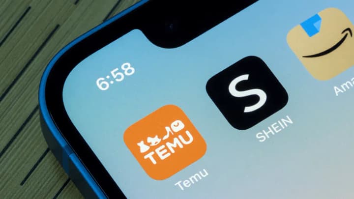 the-eu-will-strengthen-the-inspection-of-goods-from-shein-and-temu-what-awaits-buyers