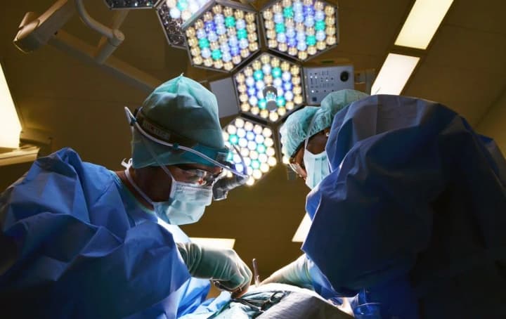 zelenskyi-pidpysav-zakon-pro-zaboronu-transplantatsii-orhaniv-zahyblykh-viiskovykh