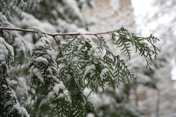 weather-in-ukraine-on-february-7-where-snow-is-expected-and-what-temperatures-will-be
