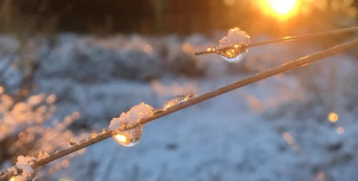 pohoda-v-ukraini-de-bude-naiteplishe-ta-choho-chekaty-vid-zymovykh-temperatur