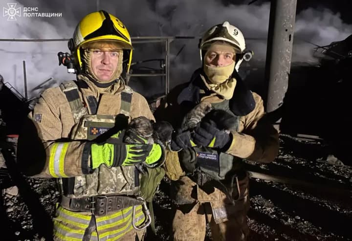 pislia-udaru-rf-na-poltavshchyni-riatuvalnyky-vriatuvaly-z-pid-zavaliv-tsutseniat