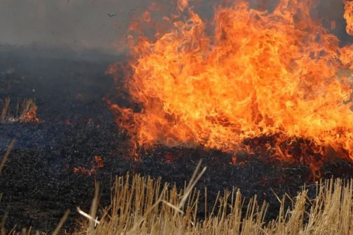 number-of-fires-in-ecosystems-of-ukraine-has-tripled-since-the-beginning-of-the-year-ses