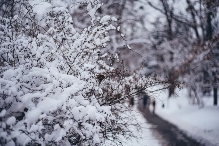 what-will-the-atmospheric-front-bring-to-ukraine-on-february-15-16-the-forecaster-told