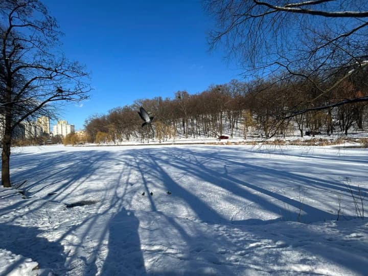 koly-v-ukrainu-pryide-poteplinnia-prohnoz-vid-synoptykyni