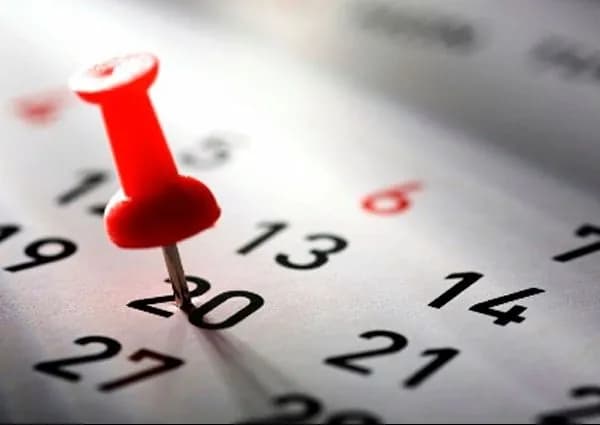 companies-and-individual-entrepreneurs-must-submit-reports-for-january-in-the-new-form-by-february-20-how-to-do-it