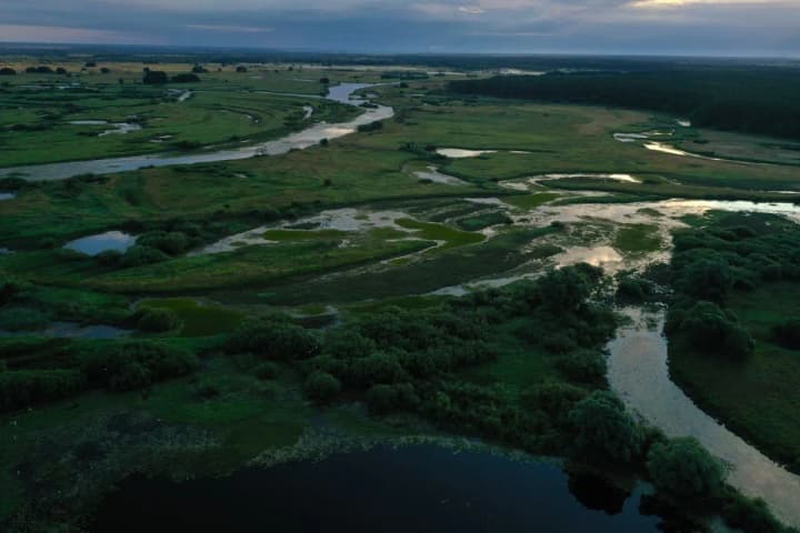 desniansko-starohutskyi-national-park-turns-26-a-unique-corner-of-nature-in-eastern-ukraine