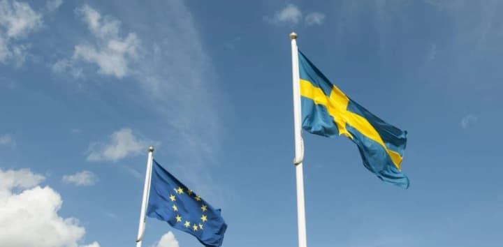 shvetsiia-oholosyla-pro-vydilennia-100-mln-yevro-na-pidtrymku-ukrainskoi-ppo