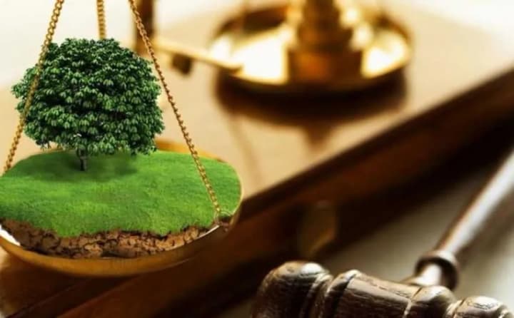 derzhavna-vykonavcha-sluzhba-miniustu-vtrychi-prohraie-pryvatnym-vykonavtsiam-u-prodazhi-zemelnykh-dilianok