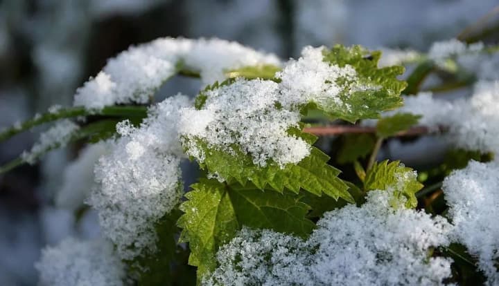 spring-is-coming-weather-on-february-27-promises-warm-days-and-frosty-nights