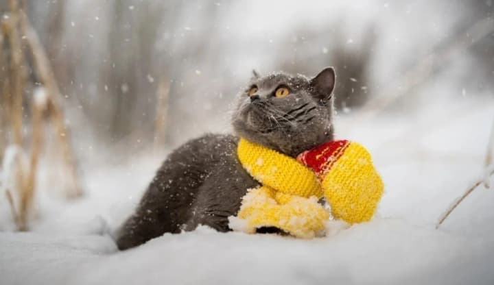 weather-in-ukraine-on-february-28-where-to-expect-rain-and-sub-zero-temperatures