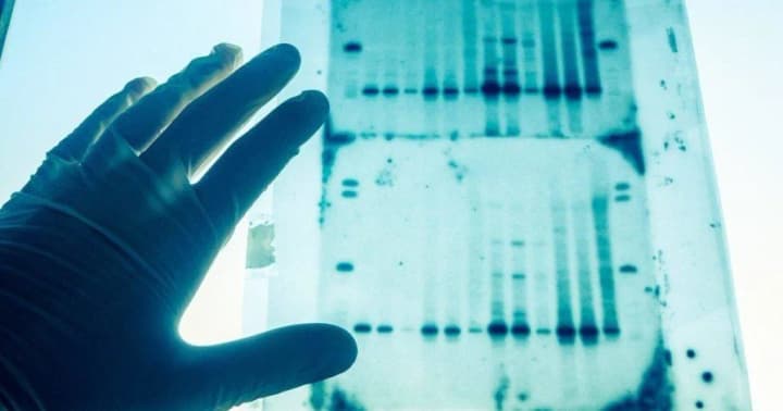 katastrofa-rosiiskoho-il-76-perevirka-peredanykh-ostankiv-ymovirno-ukrainskykh-viiskovykh-shche-tryvaie