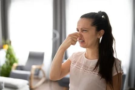 11-proven-ways-to-get-rid-of-unpleasant-odors-in-your-home