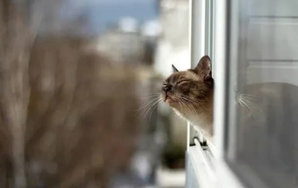 spring-warmth-up-to-20c-where-in-ukraine-will-be-the-warmest-on-march-7