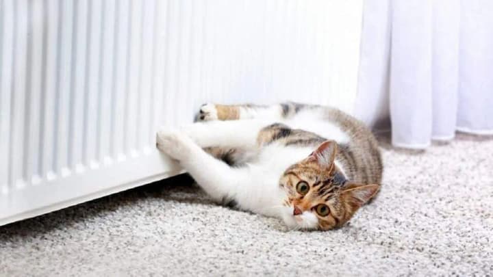 koly-u-kyievi-vidkliuchat-opalennia-vlada-rozpovila-pro-vazhlyvi-faktory