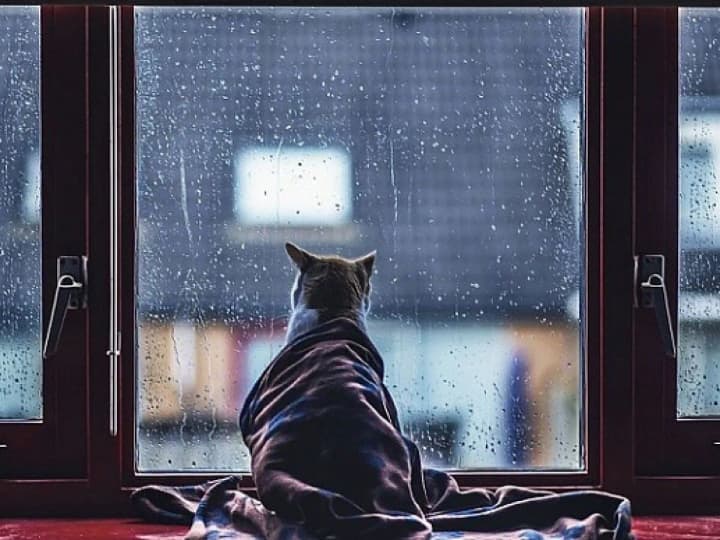 za-teplom-ydut-doshchi-prohnoz-pohody-na-sohodni