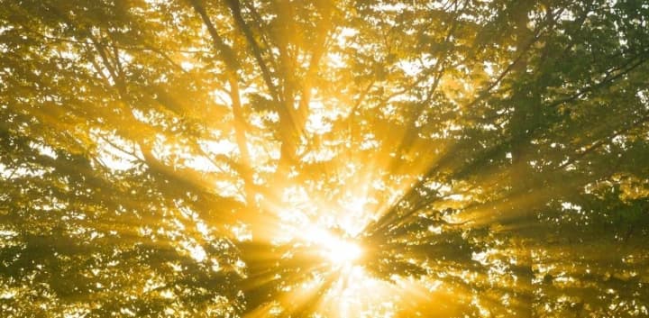 hurricanes-are-not-typical-for-ukraine-the-ukrainian-hydrometeorological-center-urges-not-to-trust-unverified-information-regarding-weather-phenomena