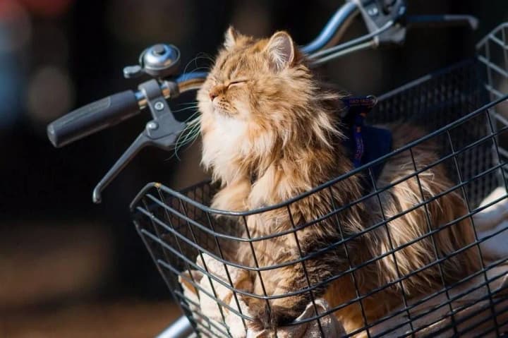 warm-weather-is-expected-in-ukraine-on-march-14-from-14c-to-23c