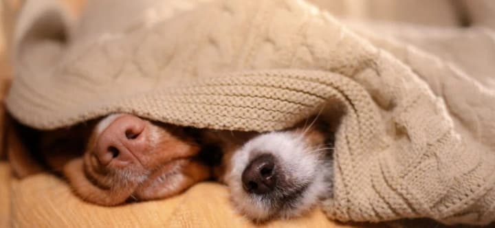 a-significant-cooling-is-expected-in-ukraine-this-weekend-didenko