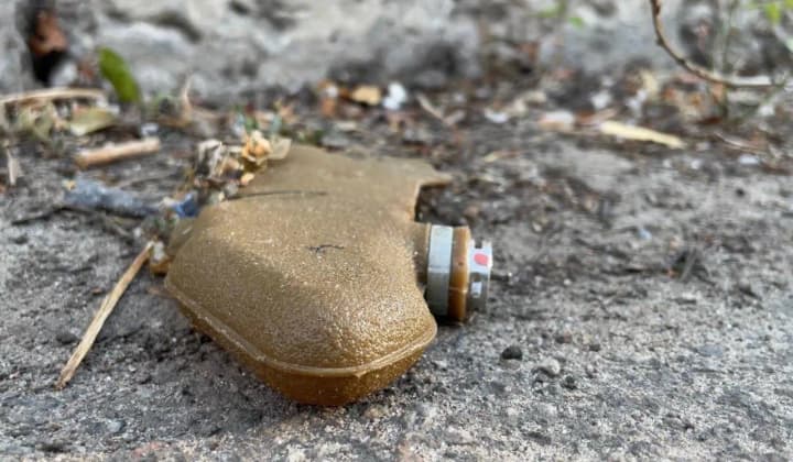 in-kherson-region-a-man-detonated-a-russian-mine-petal