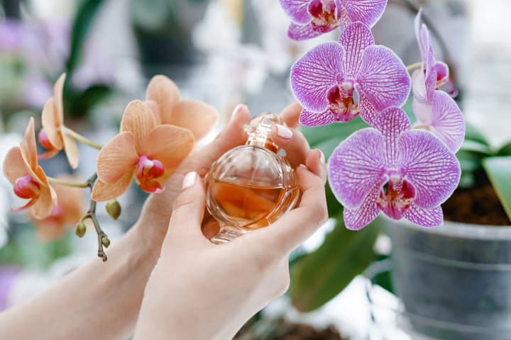 yaki-parfumy-obraty-navesni-2025-trendy-ta-porady-eksperta