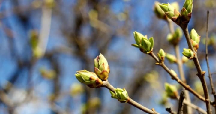 the-weekend-in-ukraine-will-be-warm-with-rain-in-some-places-up-to-15-is-expected-during-the-day